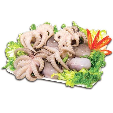  Bạch tuộc tươi 