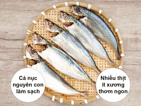  Cá Nục gai tươi làm sạch 