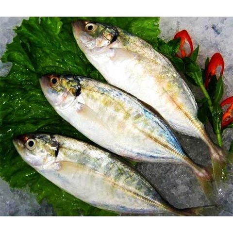  Cá trác tươi ngon làm sạch 