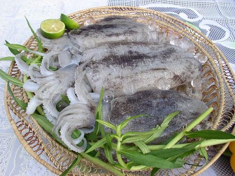  Mực Lá tươi. 