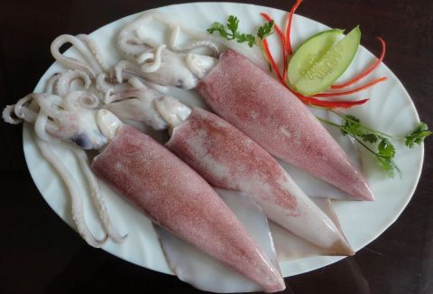  Mực Ống  Tươi 